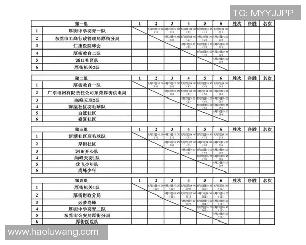 南京羽毛球队个人能力排行榜第六名展现实力与潜力的完美结合